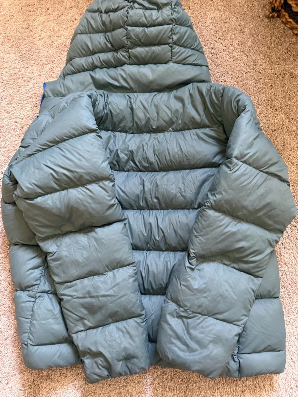 Patagonia youth Down Puffer Jacket in Sage Green with Blue Lining